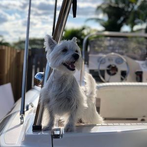 Meet your Posher, Patricia